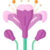 开云体育 logo