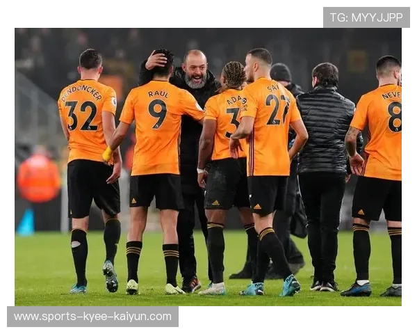 哪些英超球队的老板是中国人?投资背景分析